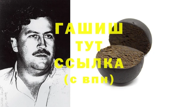 индика Бронницы
