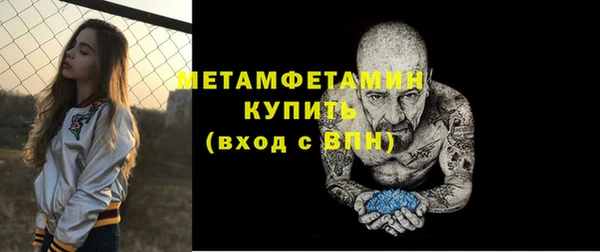 индика Бронницы