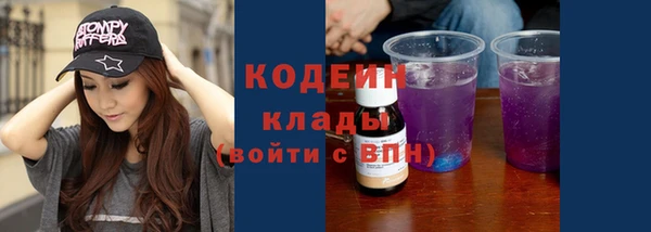 индика Бронницы