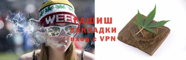 индика Бронницы