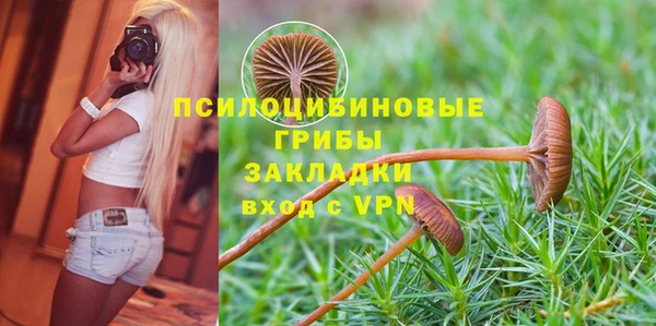 первитин Бородино