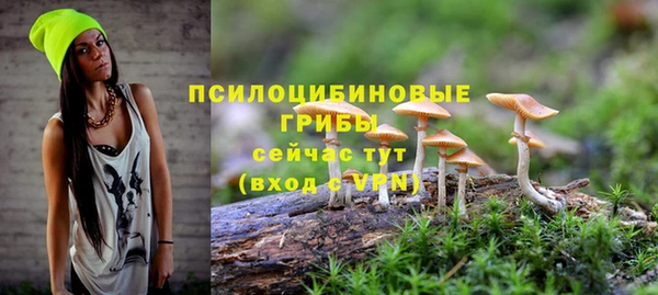 тгк Бугульма