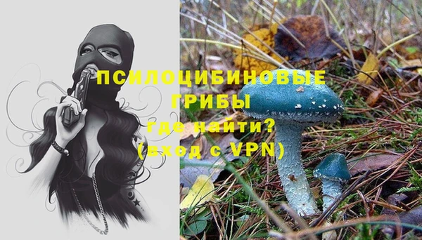 хмурый Богородицк