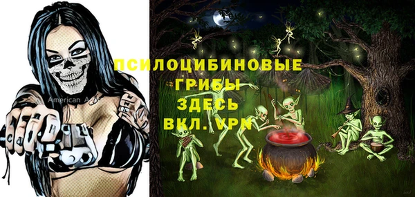 первитин Бородино